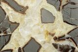 Polished Septarian Nodule Half - Utah #378432-1